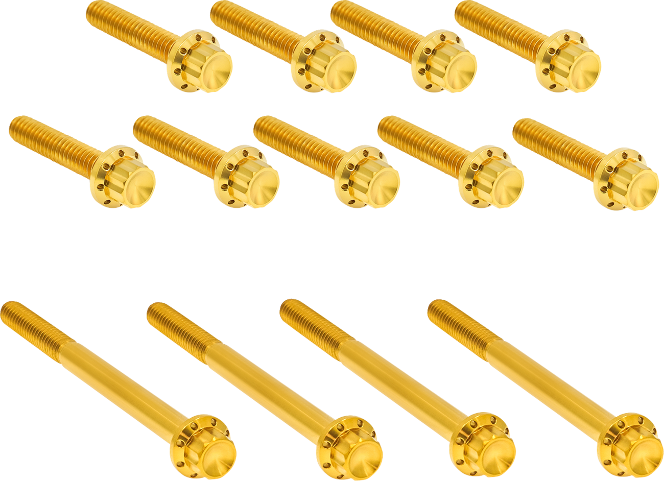 Outer Primary Cover Titanium 12-Point Bolt Kit