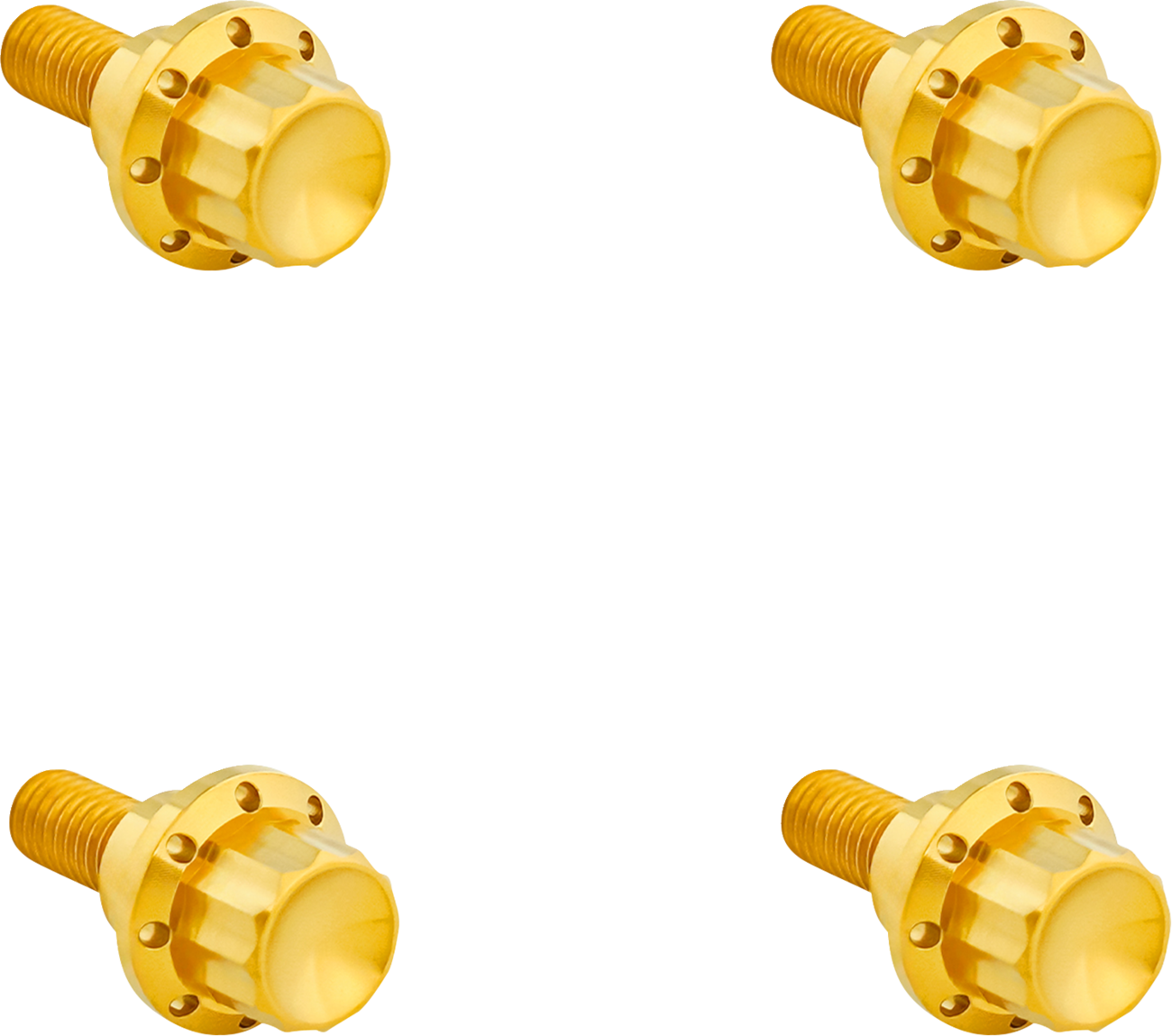 Windshield Titanium 12-Point Bolt Kit