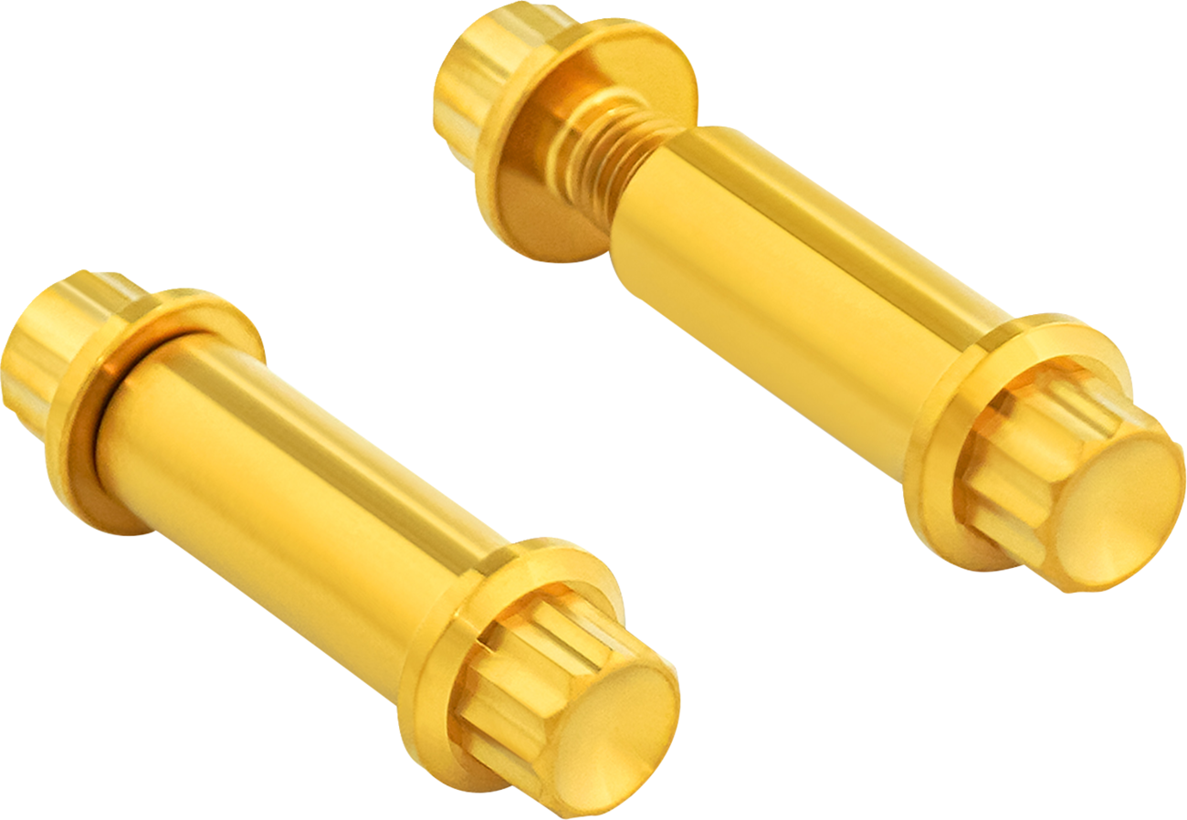 Foot Peg Titanium 12-Point Bolt Kit
