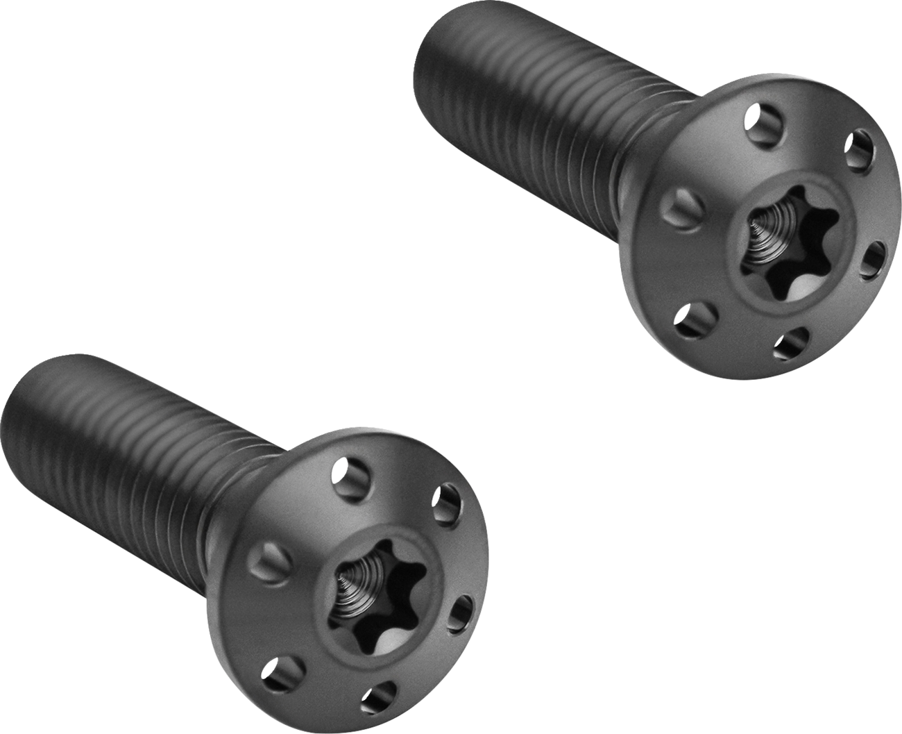 Brake Caliper Mounting Bolts