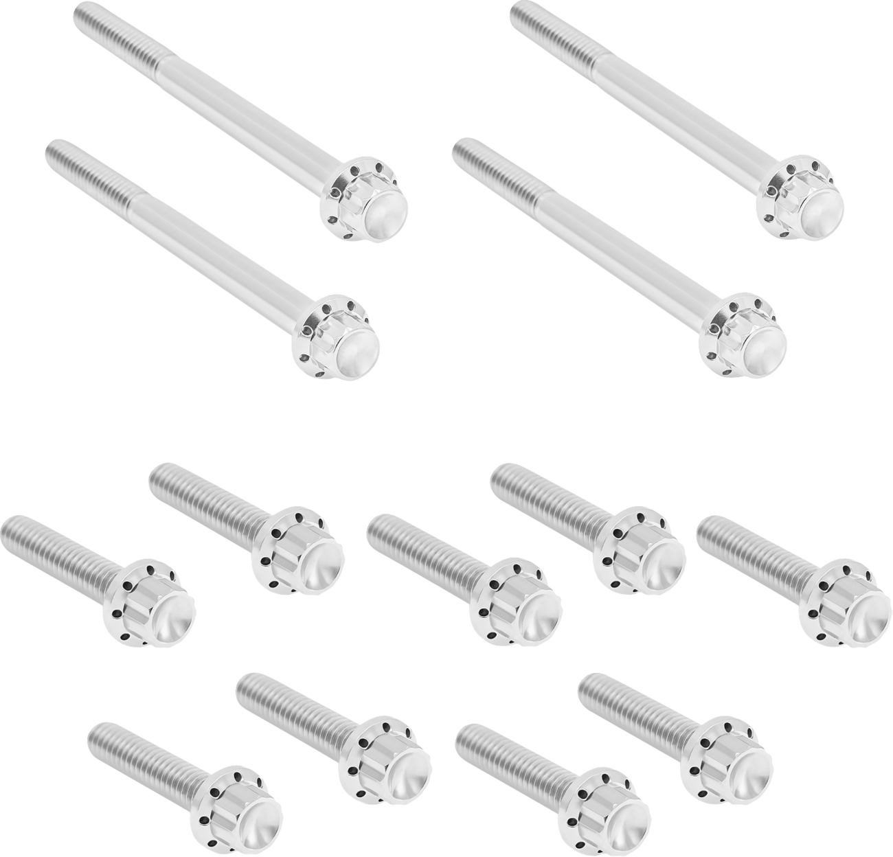 Outer Primary Cover Titanium 12-Point Bolt Kit