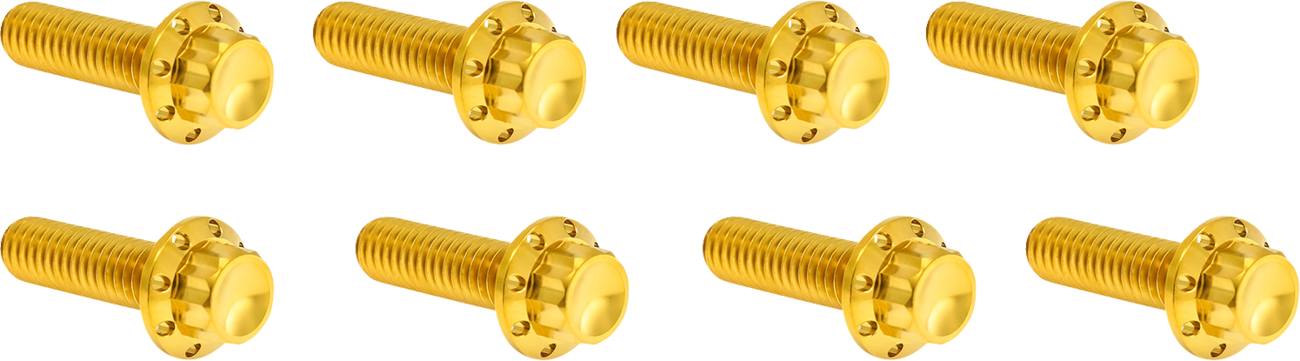 Lifter Block Titanium 12-Point Bolt Kit