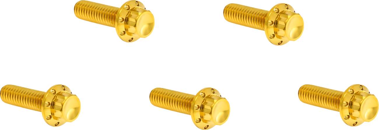 Derby Cover 12-Point Titanium Bolt Kit