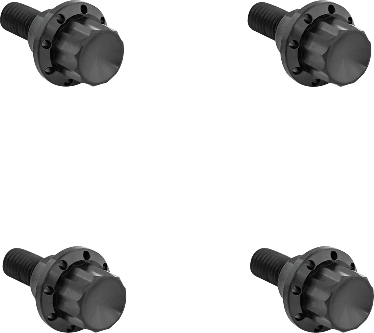 Windshield Titanium 12-Point Bolt Kit