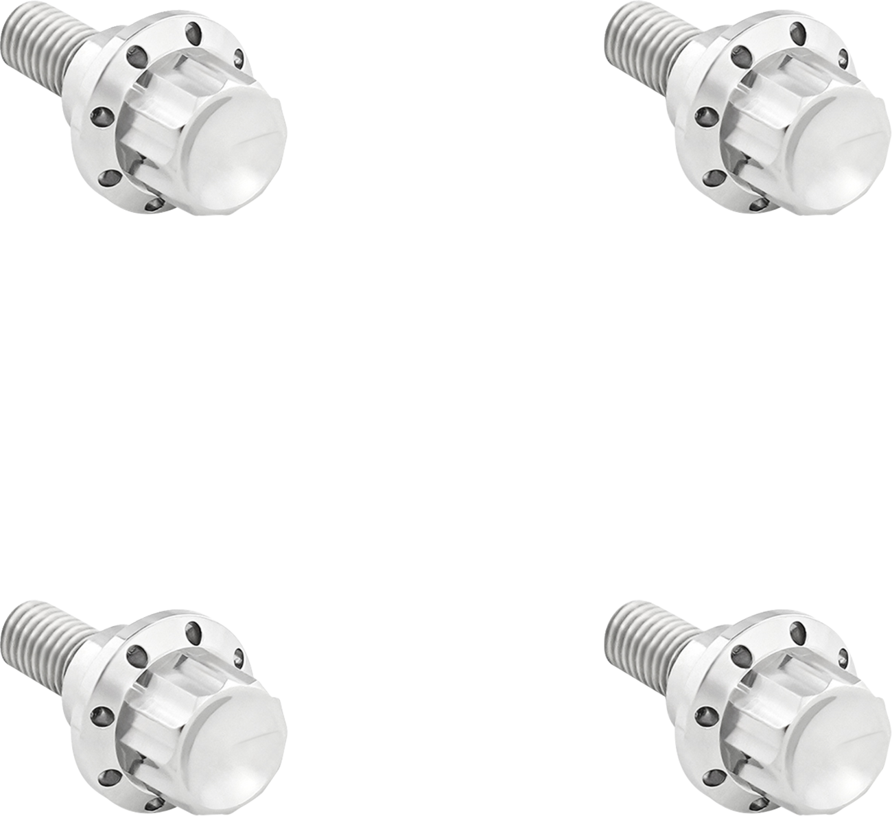 Windshield Titanium 12-Point Bolt Kit