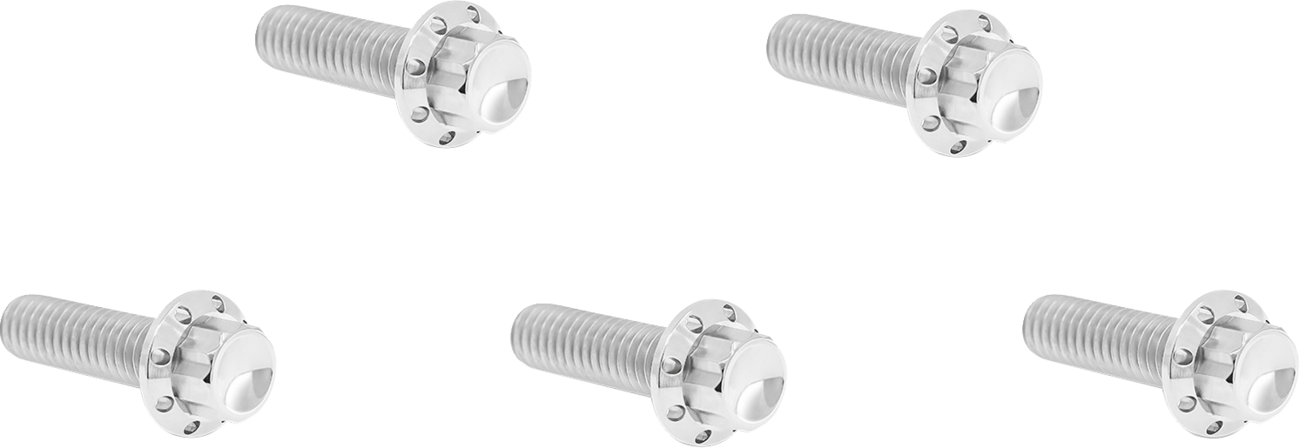 Derby Cover Titanium 12-Point Bolt Kit