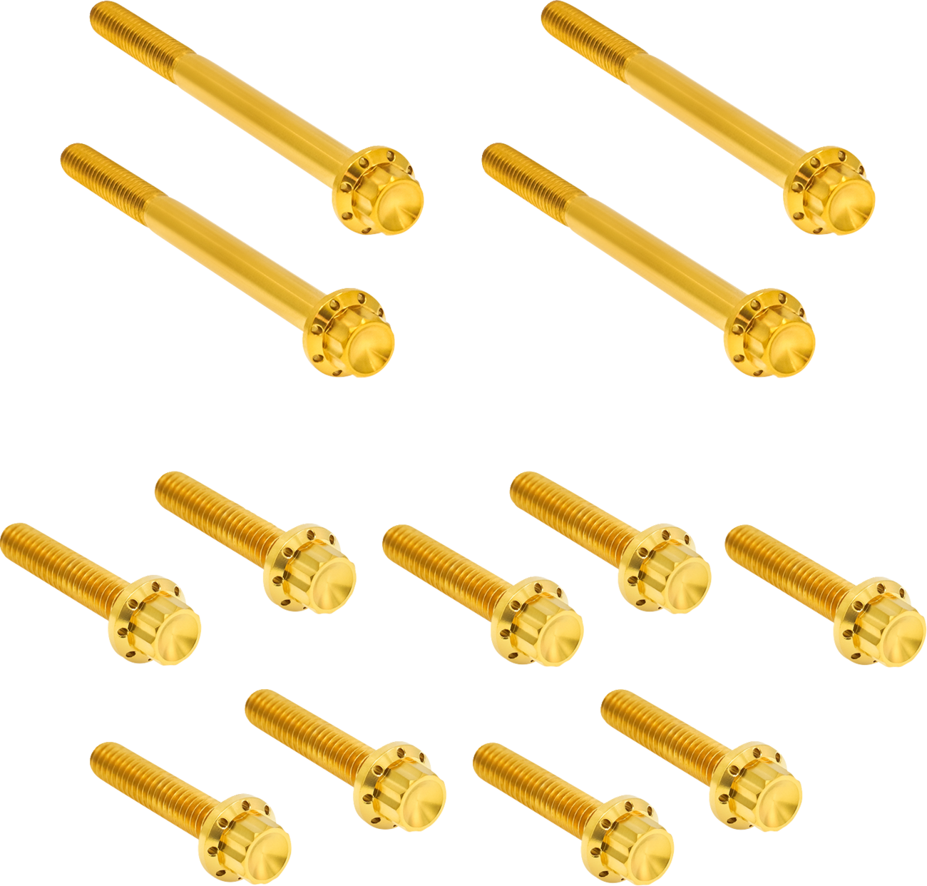 Outer Primary Cover Titanium 12-Point Bolt Kit