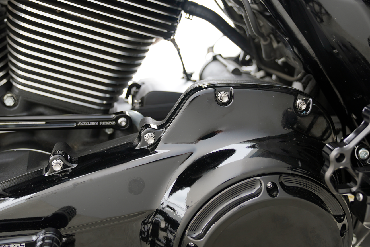 Outer Primary Cover Titanium 12-Point Bolt Kit