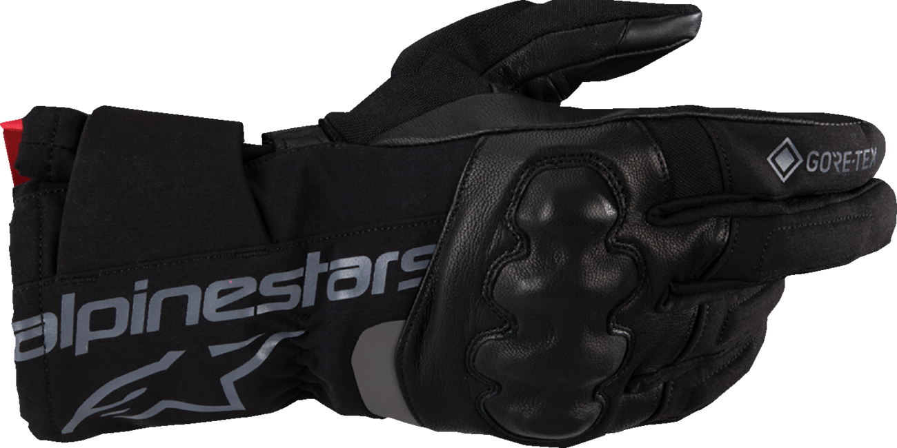 WT-4 Gore-Tex® Insulated Gloves