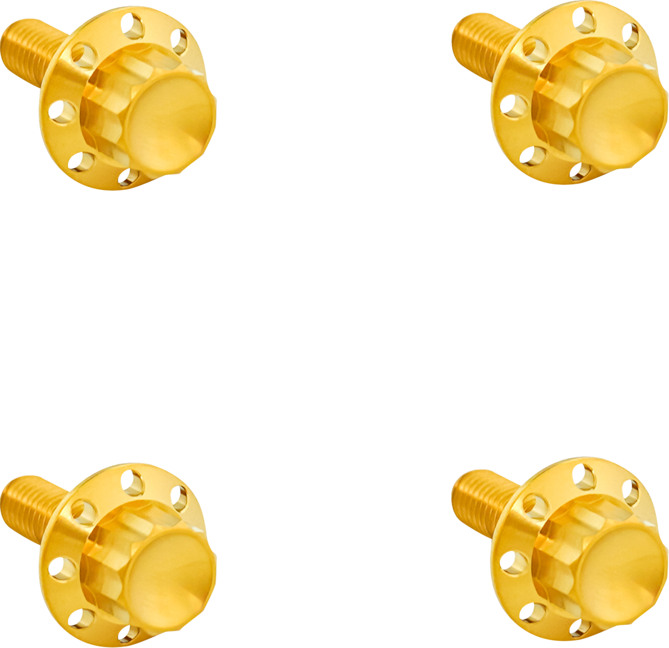 Titanium 12-Point Windshield Bolts