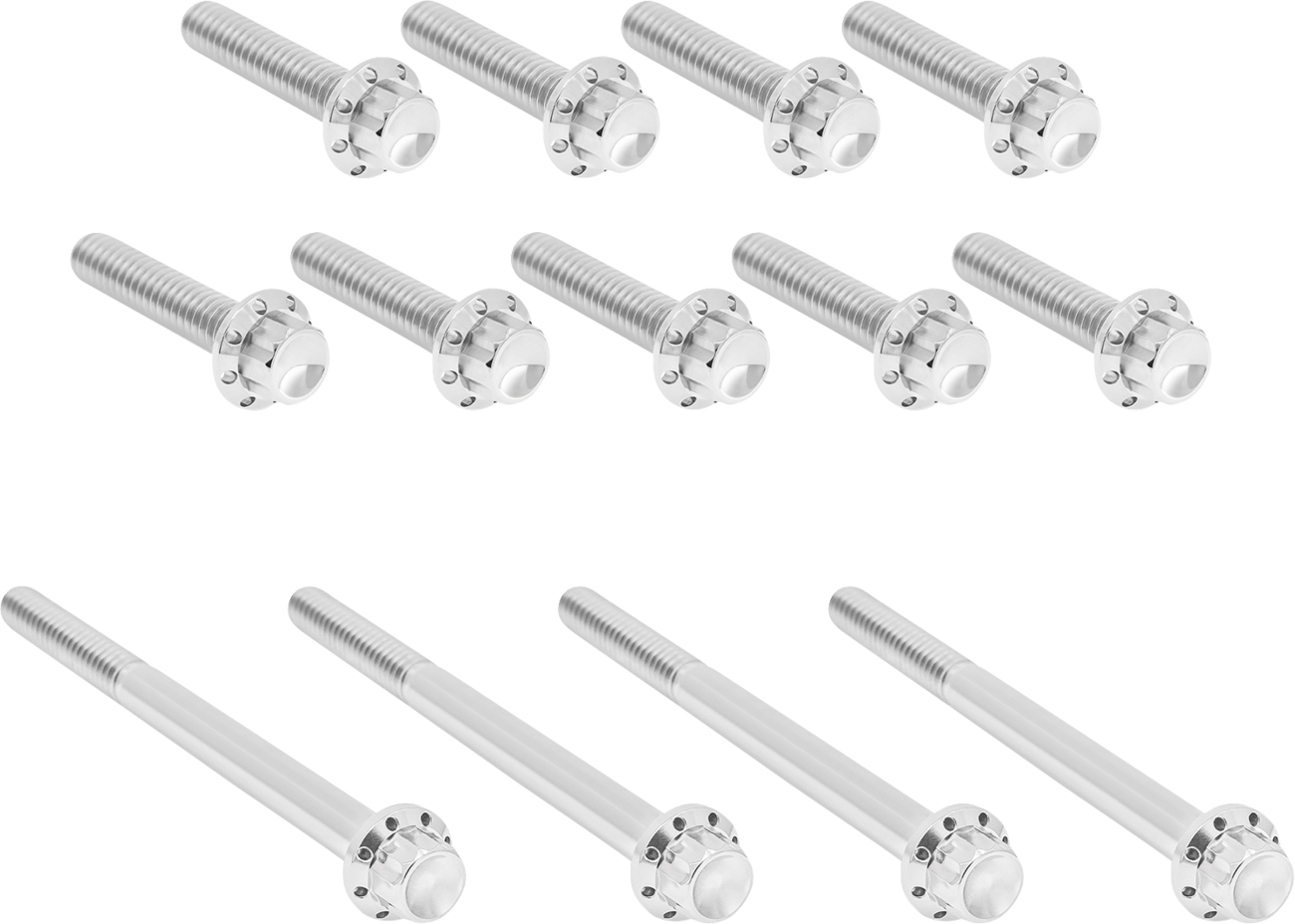 Outer Primary Cover Titanium 12-Point Bolt Kit