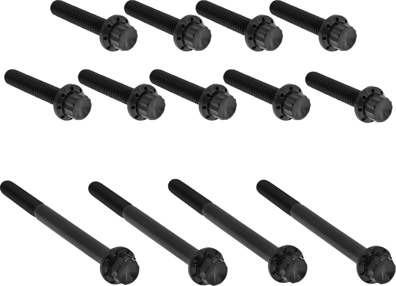 Outer Primary Cover Titanium 12-Point Bolt Kit