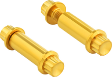 Foot Peg Titanium 12-Point Bolt Kit