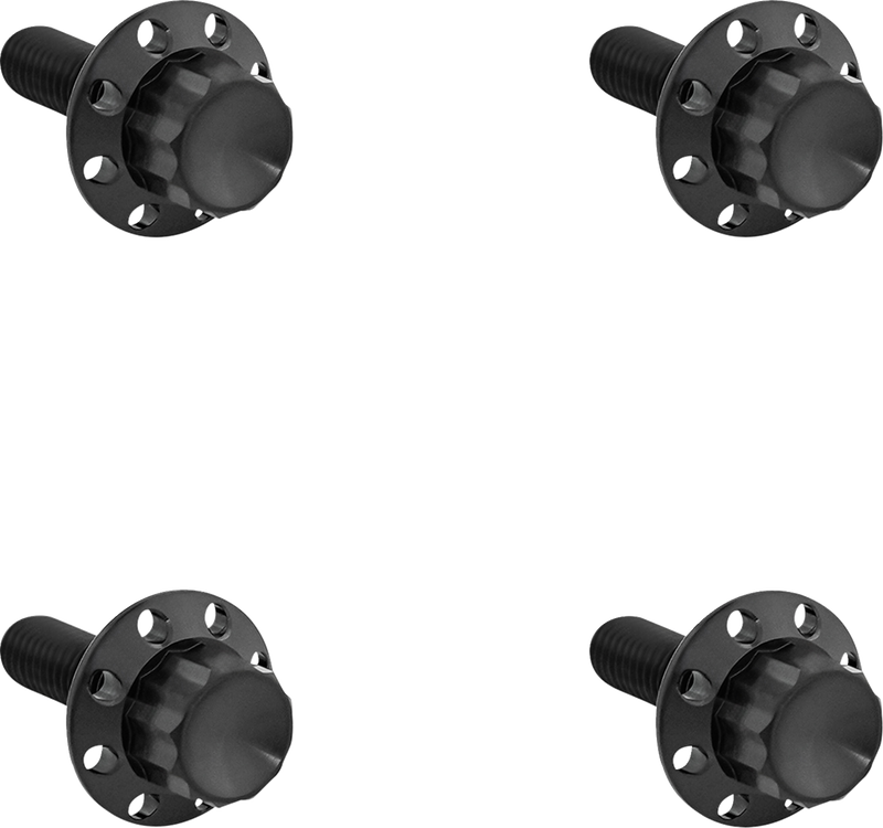 Titanium 12-Point Windshield Bolts