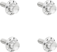 Titanium 12-Point Windshield Bolts