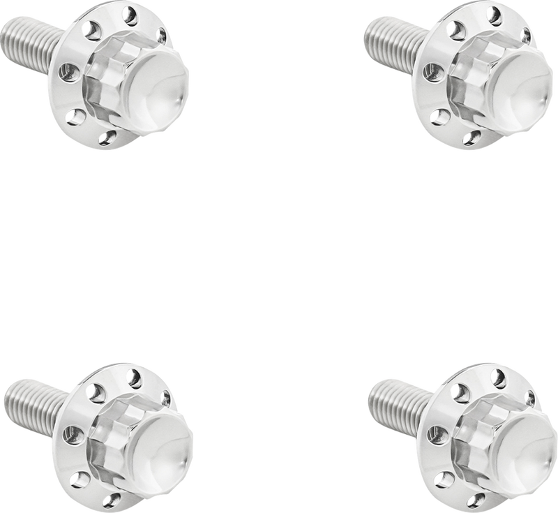 Titanium 12-Point Windshield Bolts