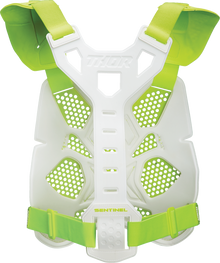 Sentinel LTD Race Guard