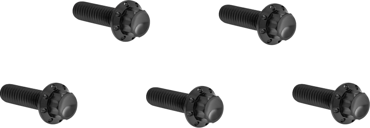 Derby Cover Titanium 12-Point Bolt Kit