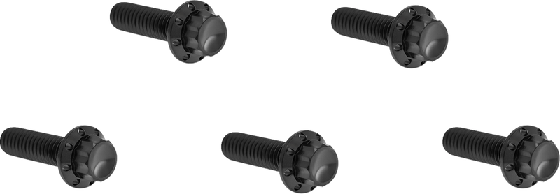 Derby Cover 12-Point Titanium Bolt Kit