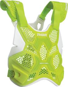 Sentinel LTD Race Guard