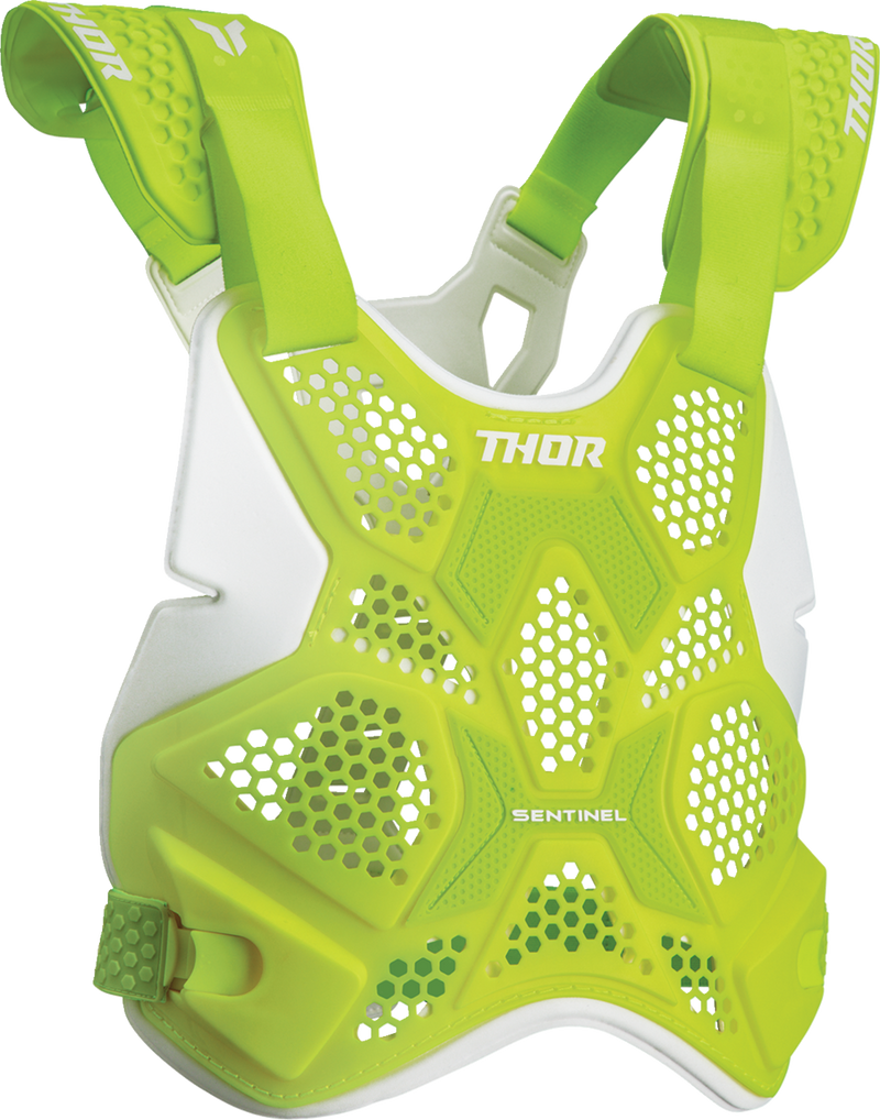 Sentinel LTD Race Guard