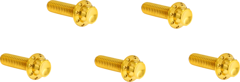 Derby Cover Titanium 12-Point Bolt Kit