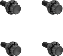 Windshield Titanium 12-Point Bolt Kit