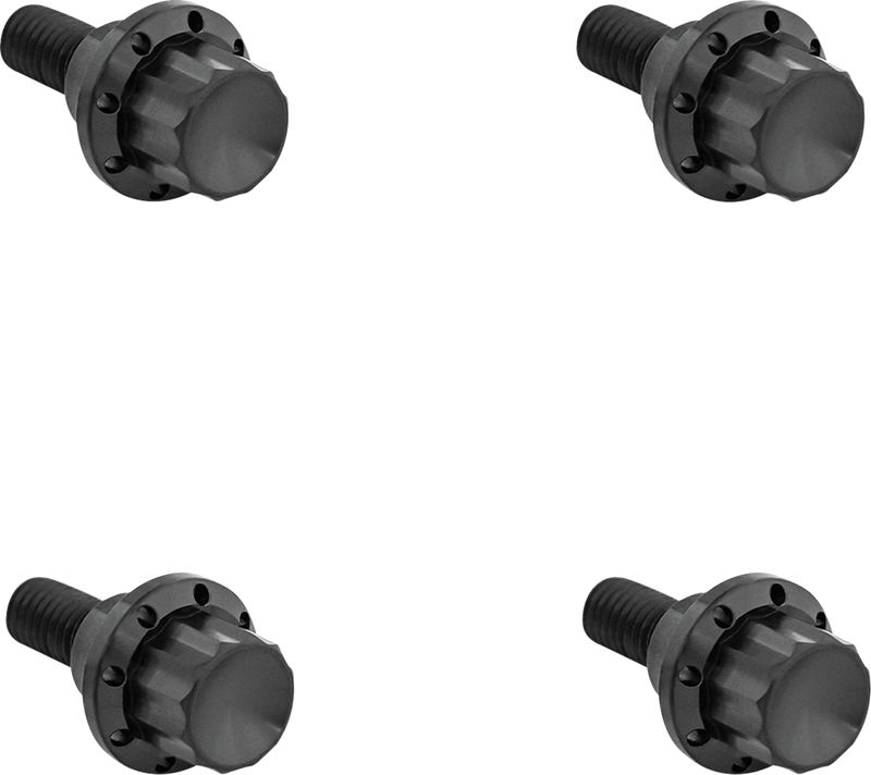 Windshield Titanium 12-Point Bolt Kit