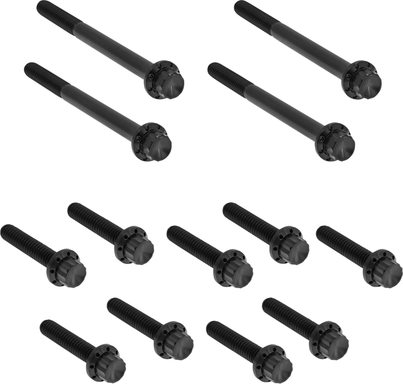 Outer Primary Cover Titanium 12-Point Bolt Kit