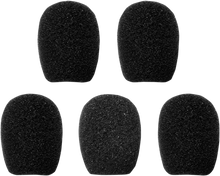 Microphone Sponges