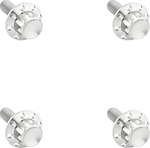 12-Point Windshield Bolt Kit