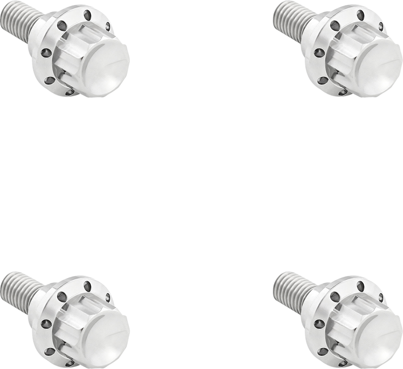 Windshield Titanium 12-Point Bolt Kit