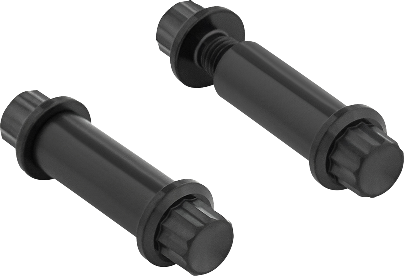 Foot Peg Titanium 12-Point Bolt Kit