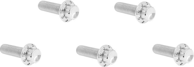 Derby Cover Titanium 12-Point Bolt Kit