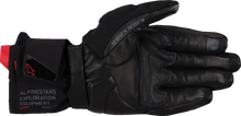 WT-4 Gore-Tex® Insulated Gloves