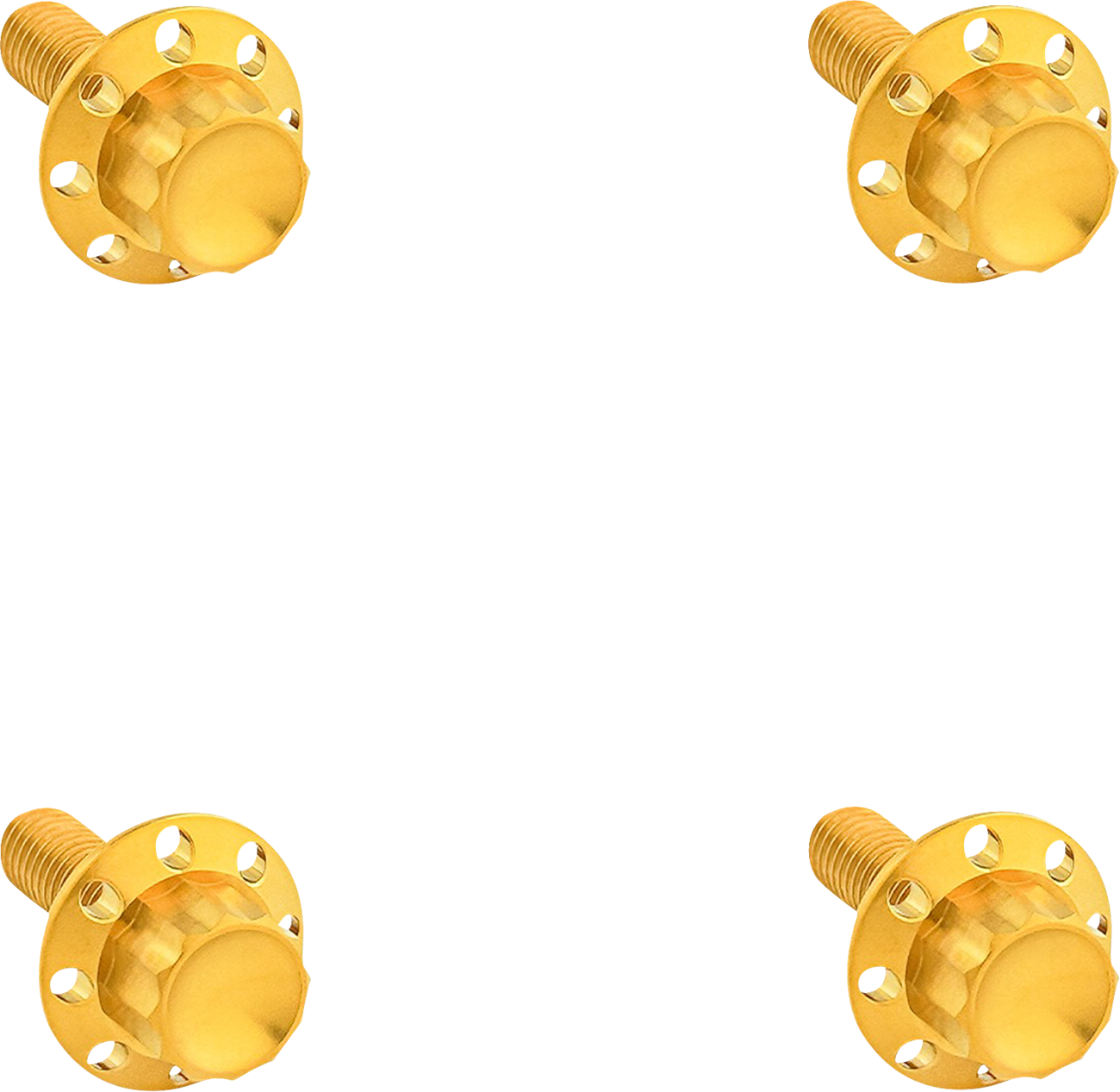 12-Point Windshield Bolt Kit