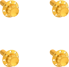 12-Point Windshield Bolt Kit