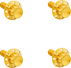 Titanium 12-Point Windshield Bolts