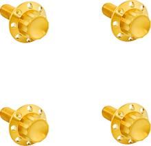 Titanium 12-Point Windshield Bolts